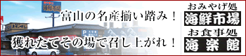 �z���x�R�C�N�s��
